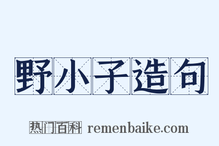 野小子造句是什么意思的图片